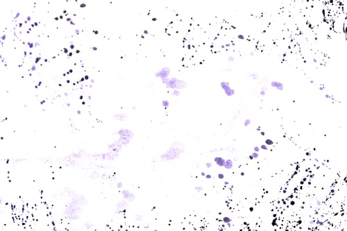 Preview: The Background Image On The Canvas With Strokes Of Paint
