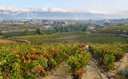 Preview: ountryside town of elciego and autumn vineyards in la rioja, Spain