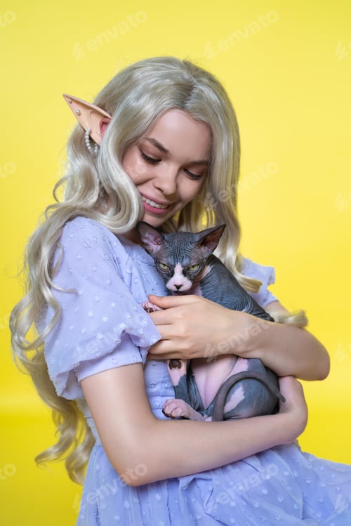 Preview: Young female cosplay elf in blue dress smiles happily, gently hugging Sphinx kitten to her chest