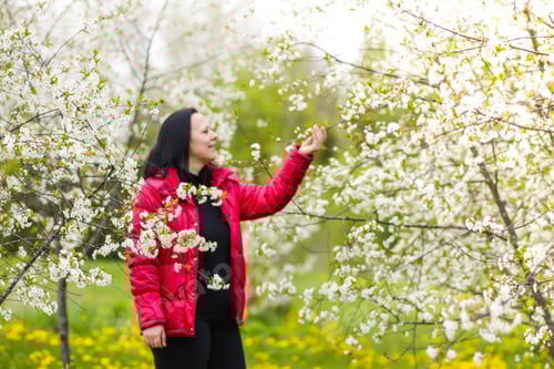 Preview: Young woman enjoys the spring blossoms in the garden. Cherry trees in full bloom.