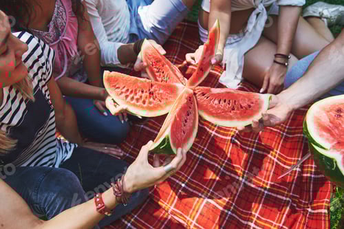 Preview: Cheerful friends enjoying watermelon on picnic on sunny summer day
