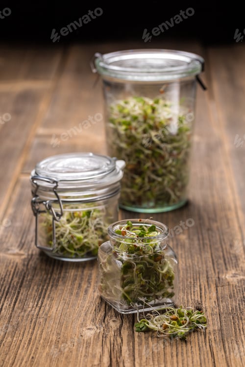 Preview: Mix of sprouted seeds