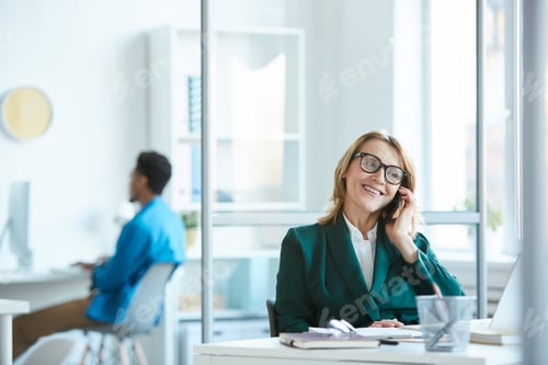 Preview: Businesswoman working on the phone