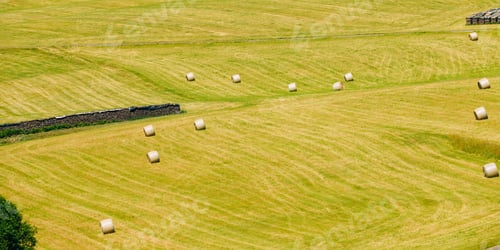 Preview: View Of Rural Landscape Field Meadow, Germany