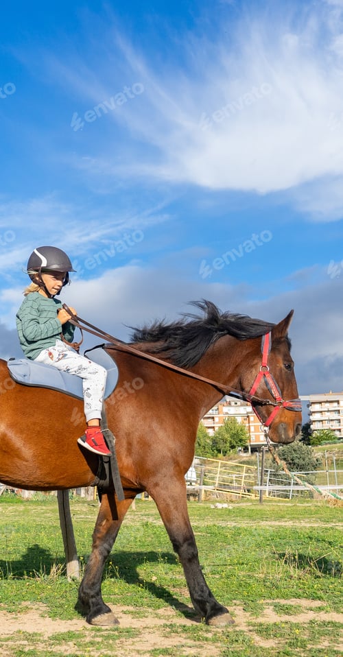 Preview: 8 year old boy learning to ride a horse in nature