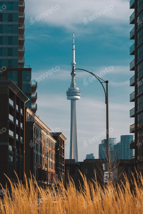 Preview: Calles de Toronto
