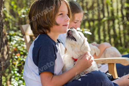 Preview: 6 year old boy holding an English golden retriever puppy