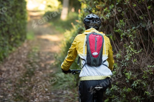 Preview: Middle-aged male cyclist pedaling mountain bike wearing helmet, jacket and backpack on leafy trail