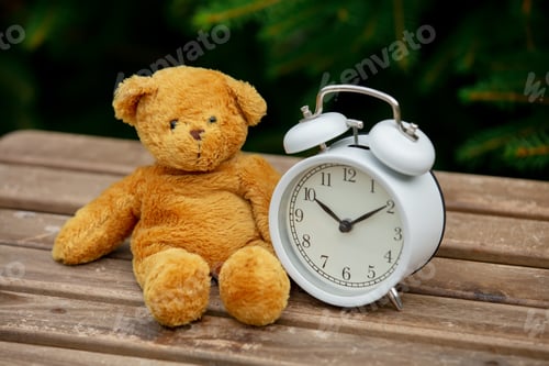 Preview: vintage alarm clock and teddy bear on wooden table with spruce branches on background