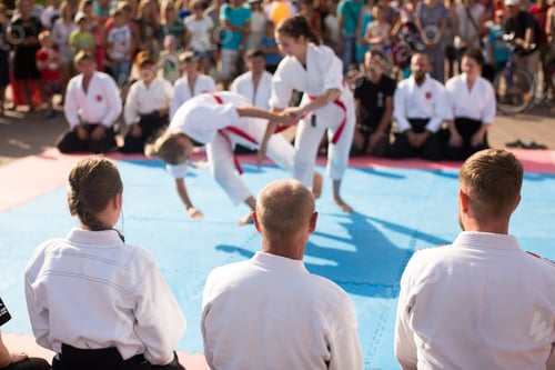 Preview: Two athletes perform karate moves