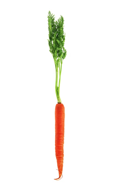 Preview: Carrot