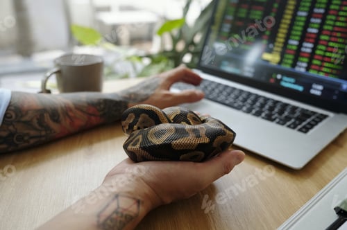 Preview: Holding Snake While Working with Stock Market Data