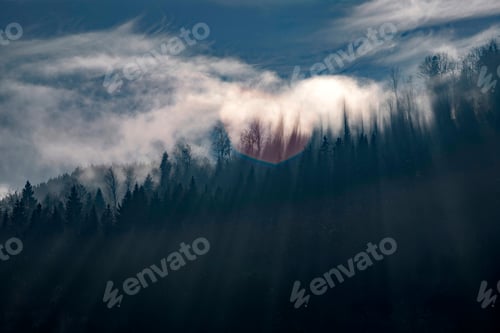 Preview: Sun light over winter forest.