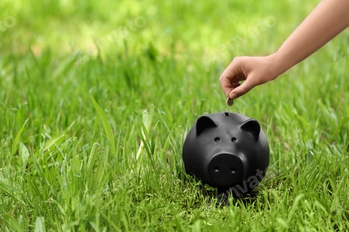 Preview: Young woman putting coin into piggy bank on green grass outdoors, closeup. Space for text