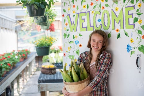 Preview: Summer on an organic farm. A girl holding a basket of fresh corn standing by the Welcome sign.