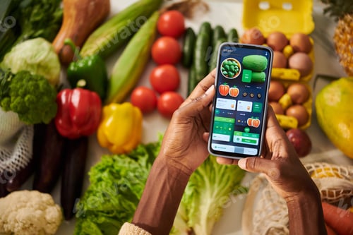 Preview: Woman Using Groceries Mobile Application