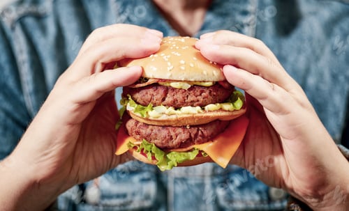 Preview: burger in human hands
