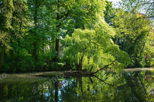 Preview: Beautiful shot of a tranquil river surrounded by trees in Coloma park, Belgium