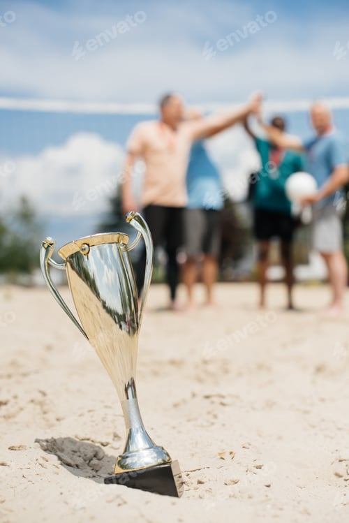 Preview: selective focus of champions cup and volleyball players on beach