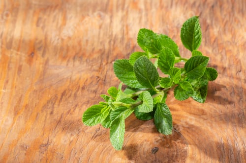 Preview: Purple sage plant on the table