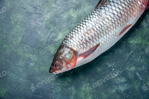 Preview: top view fresh raw fish on dark blue background shark seafood meal ocean meat horizontal water