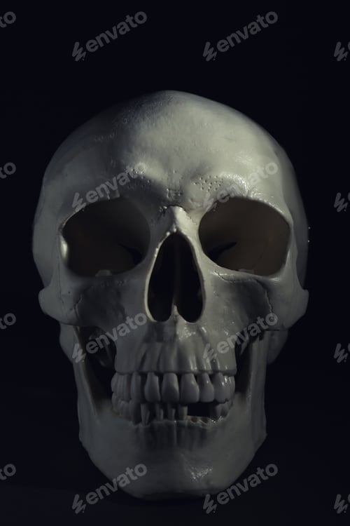 Preview: White human skull with teeth on black background