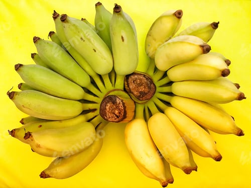 Preview: 🏆 TOP 20% YELLOW CHALLENGE 🏆
💐✨📷 NOMINATED 📷✨💐
Shades of yellow bananas from raw to ripe