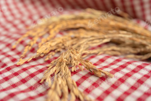 Preview: Paddy rice. Organic. Raw, wheat or grain. Agriculture. Food.