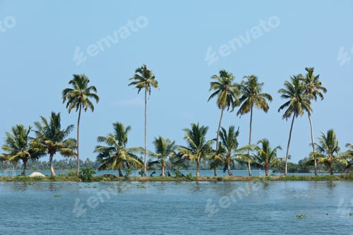 Preview: Kerala backwaters