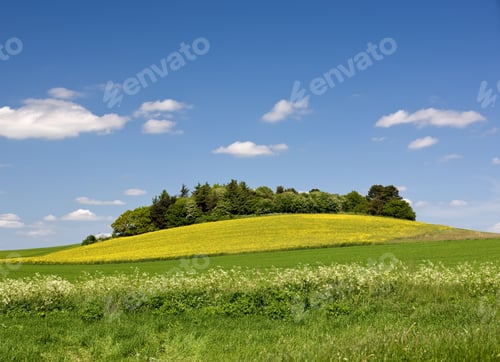 Preview: The countryside - beautiful blue sky and grass