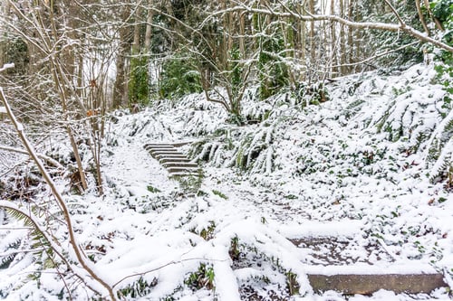 Preview: A Veiw Of Steps On The Eagle Landing Trail In Burien, Washington In The Snow.