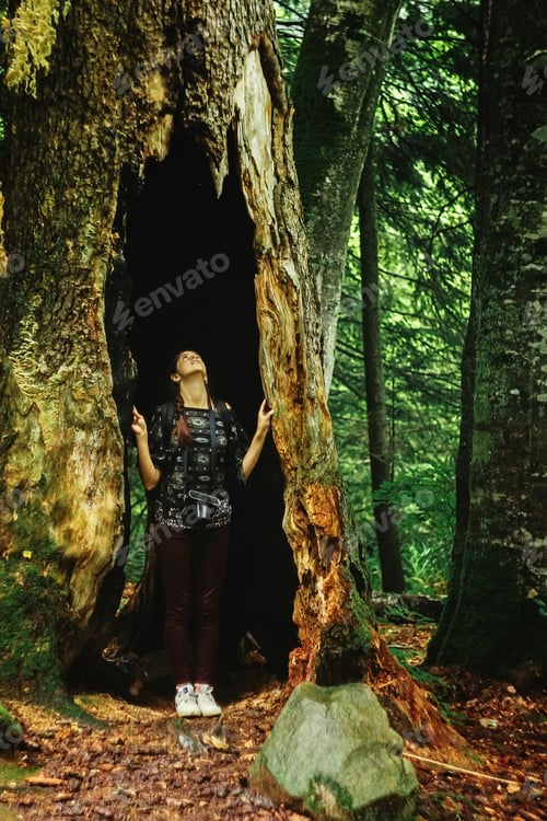 Preview: stylish woman hipster traveler looking at amazing tree
