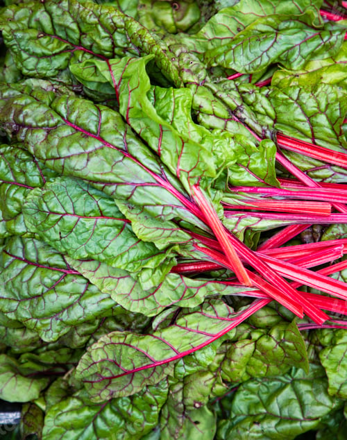 Preview: fresh swiss chard in garden - organic gardening