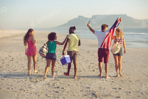 Preview: Rear view of group of diverse friends walking together on the beach
