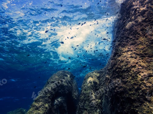 Preview: background of the underwater view of a rock wall