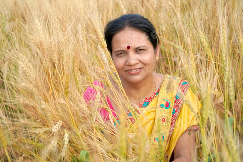 Preview: Beautiful young Indian woman wear in saree at the wheat field