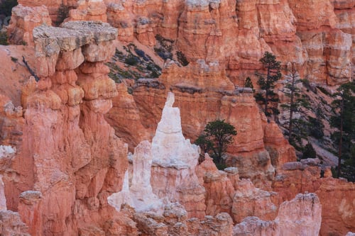 Preview: Bryce