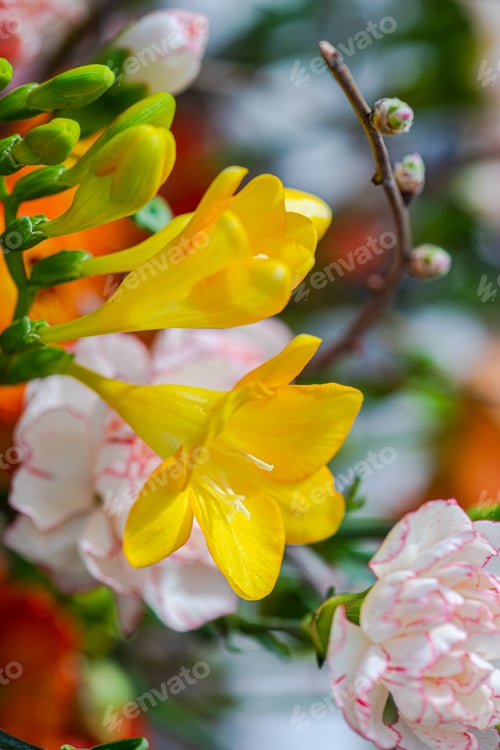 Preview: Floral composition with seasonal flowers