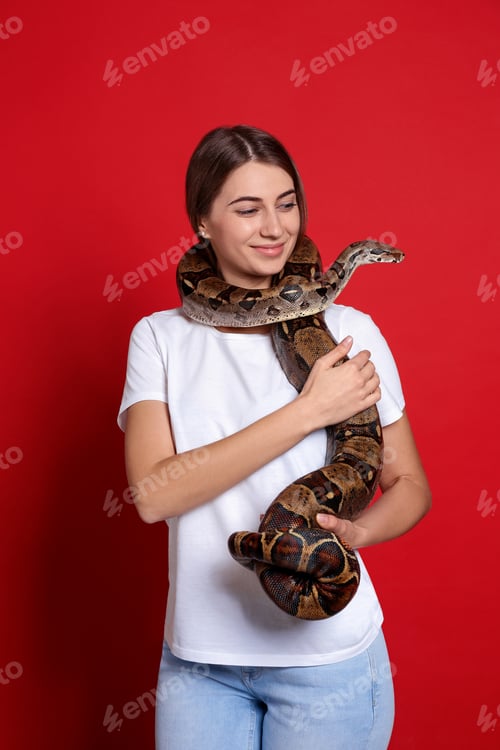 Preview: Young woman with boa constrictor on red background. Exotic pet