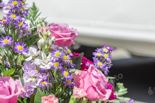 Preview: Close-up photo of colorful flowers