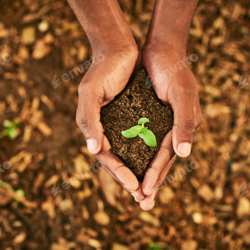 Preview: Nurture a better future