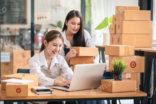 Preview: Small start-up business owners checking parcels at work, freelancers, salespeople, checking producti