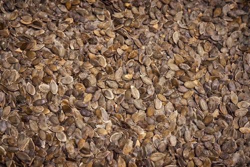 Preview: pumpkin seed close up background