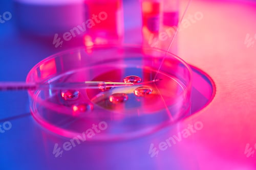 Preview: ICSI procedure in modern embryology