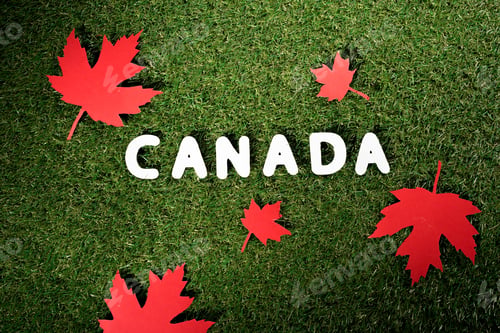 Preview: top view of word 'Canada' with maple leaves on green grass background