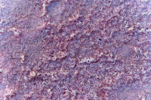 Preview: Close up of lake shore covered with pink salt