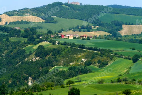 Preview: Rural landscape at May in Piedmont, near Brignano and Serra del Monte