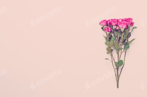 Preview: Frame made of red rose on white wooden background.