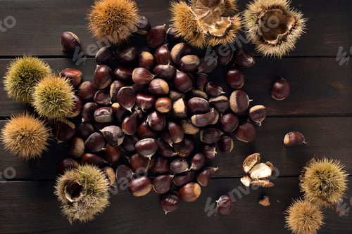 Preview: Sweet Chestnut still life