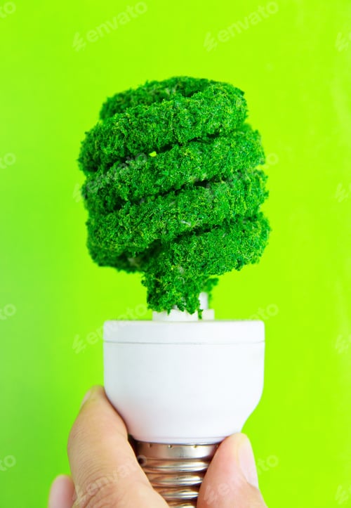 Preview: Eco light bulb energy concept